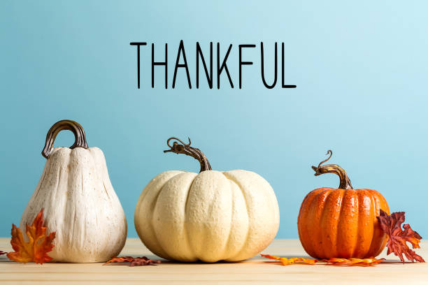 istock Thankful message with pumpkins 1173881424