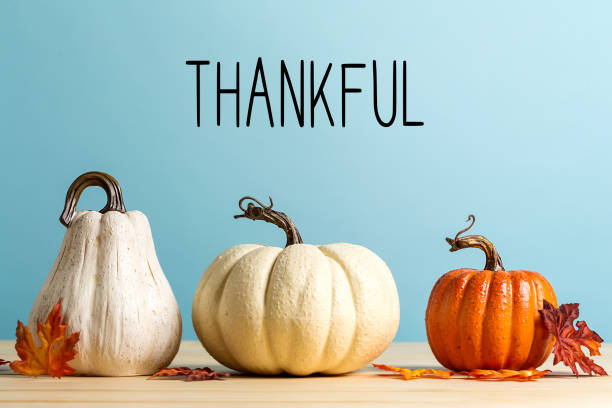Thankful message with pumpkins stock photo