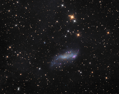 Coddington nebula, magellanic galaxy in Integrated Flux Nebula