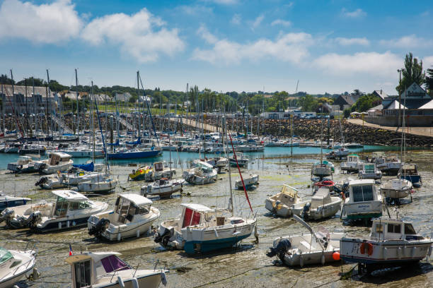 Pléneuf-Val-André Port and Marina at Low Tide on a Sunny Summer Day in Brittany France Pléneuf-Val-André Port and Marina at Low Tide on a Sunny Summer Day in Brittany France ebb and flow stock pictures, royalty-free photos & images