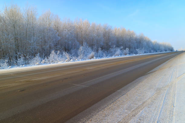 アスファルトから斜めの道を通る落葉林の雪と霜の冬の時間 - clear sky diagonal snow winter ストックフォトと画像