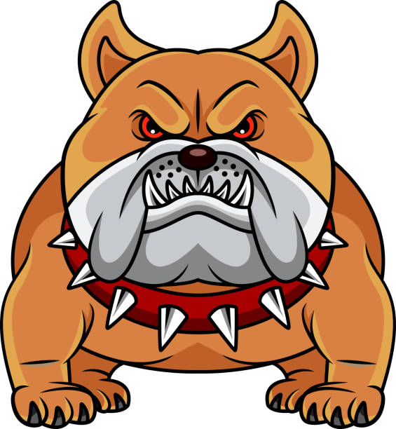 Bulldog Cartoon vector illustration of Bulldog Cartoon angry dog barking cartoon stock illustrations