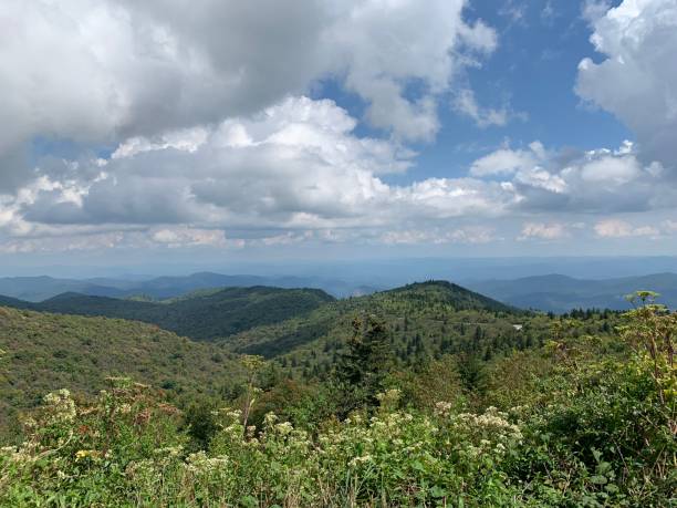 istock Blue Ridge Parkway Canton, NC 1173894419