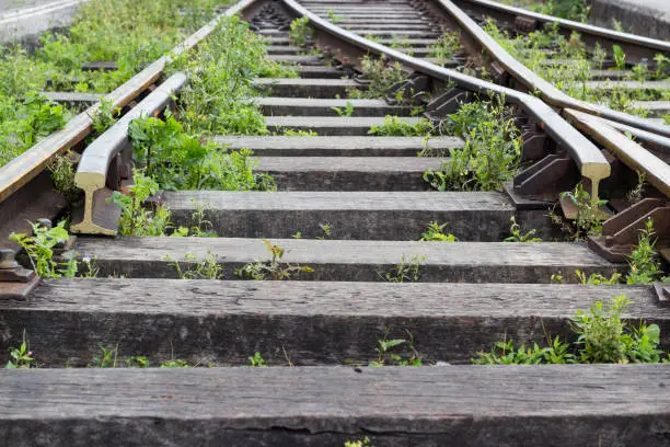 Photo of Close-up perspective of disused overgrown railway track