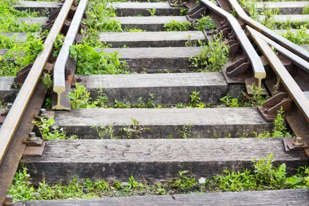 Photo of Close-up of disused overgrown railway track