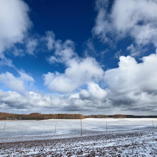 istock Heavy snow storm clouds over fields in countryside 1173897189