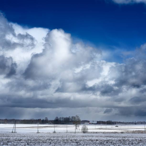 istock Heavy snow storm clouds over fields in countryside 1173897241
