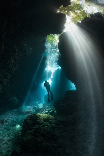 Beautiful light beams through the jungle canopy then into this cavern system.
