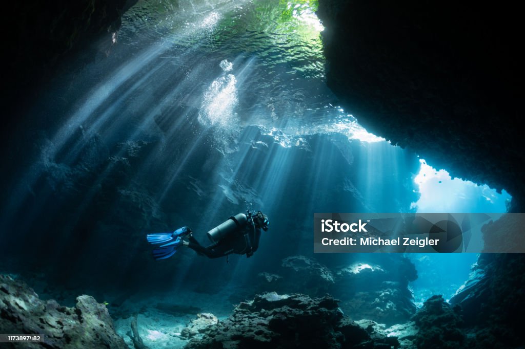 Scuba Diver in Shallow Lagoon Beautiful light beams through the jungle canopy then into this cavern system. Underwater Diving Stock Photo