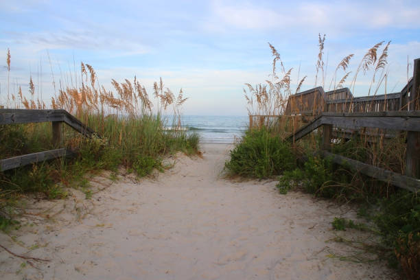 istock Beautiful landscape with way to the Atlantic beach. 1173898464
