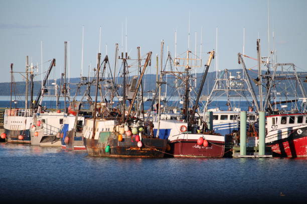 istock Fishing Boats Docked 1173902056