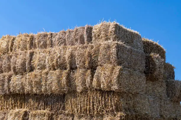 High stack of straw bales against a blue summer sky