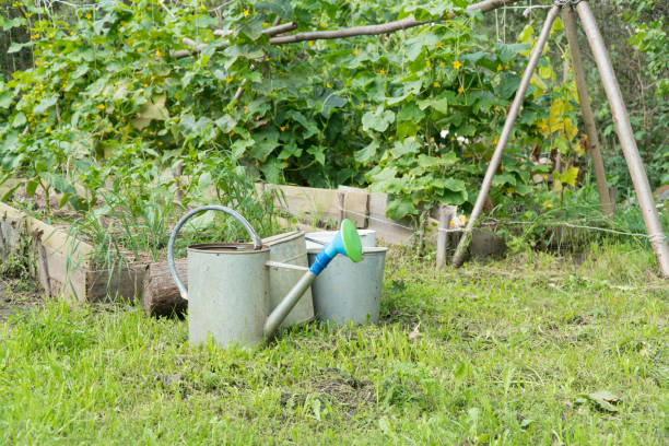 istock garden with watering can 1173902508