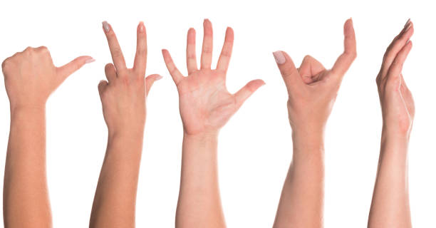 istock Set of woman's hand measuring invisible items 1173905011