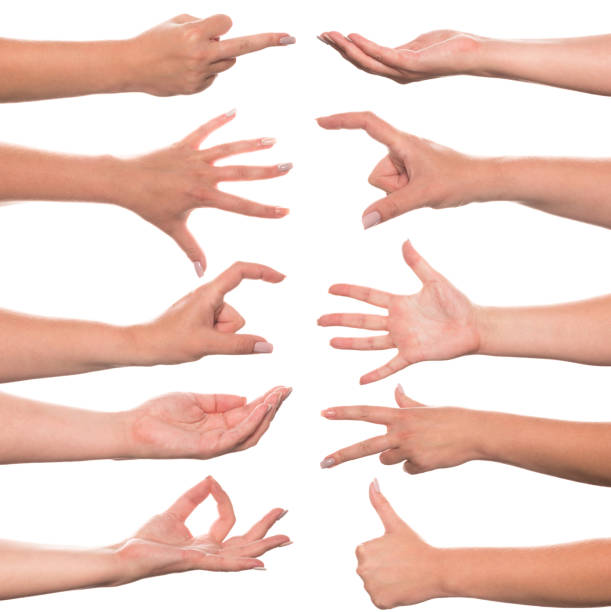 istock Set of woman's hand measuring invisible items 1173905050