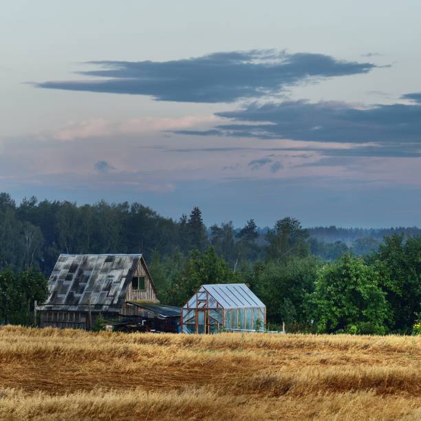 istock Sunset over a mysty field in countryside Latvia 1173907893