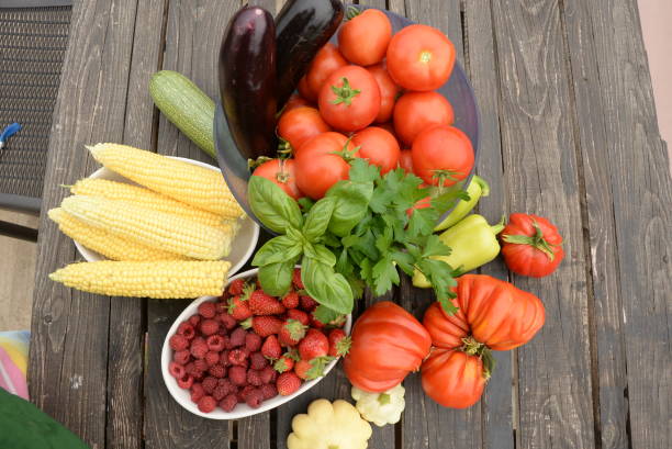 harvested vegetables. Tomatoes, corn, berries, eggplant on a wooden dark background