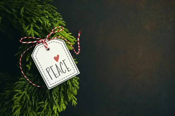 Photo of Christmas evergreen wreath with holiday message of peace