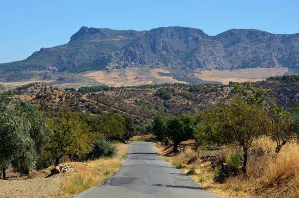 istock Lonely road in the Sierra de las Nieves 1173916977