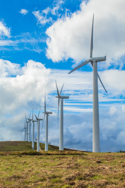 istock Wind turbines of a wind farm 1173921673