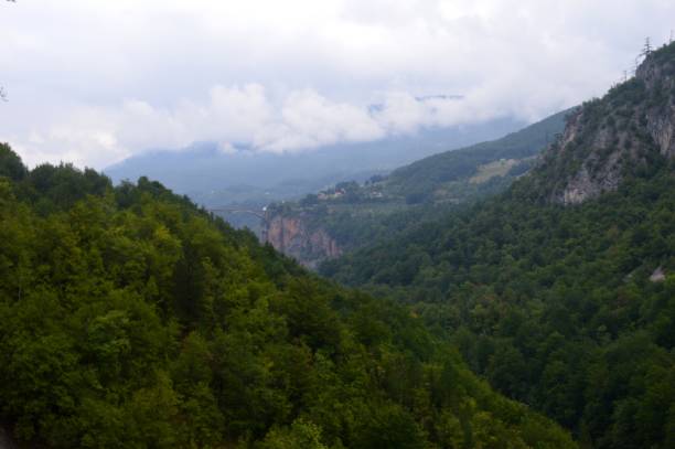 istock landscape of mountains in forest and clouds 1173923983