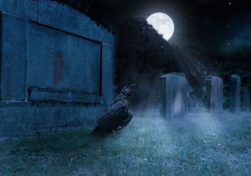 crow sits on a cemetry in front of a gravestone