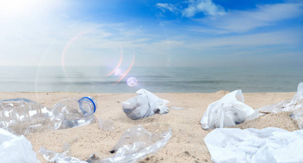 istock Concept on the pollution of beaches with plastic 1173929670