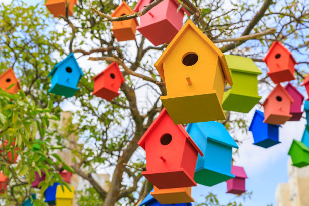 Closeup birdhouses on a mandarin tree at city