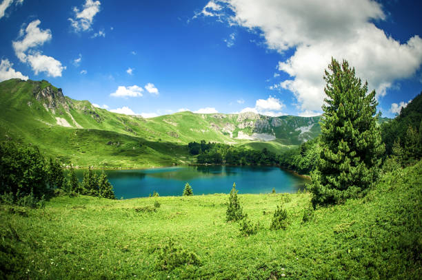 vista panoramica della bellissima catena montuosa con lago cristallino - clear sky panoramic grass scenics foto e immagini stock