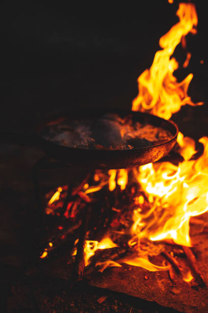 istock Cooking fishes at night campfire 1173940868