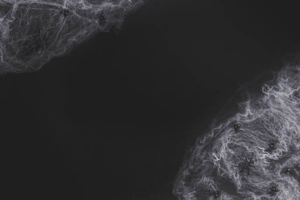 istock Traditional halloween background with spiders. Place for text. Black spiders on an orange background. 1173943596