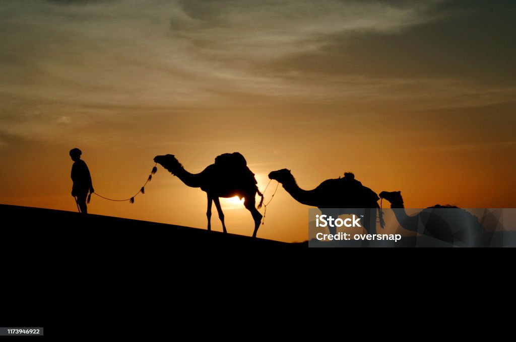 Timbuktu A camel caravan departs the legendary city of Timbuktu into the Sahara Desert at sunset. A return journey of forty days to the salt mines at Taoudenni travelling by night and navigating by the stars Epiphany - Religious Celebration Stock Photo