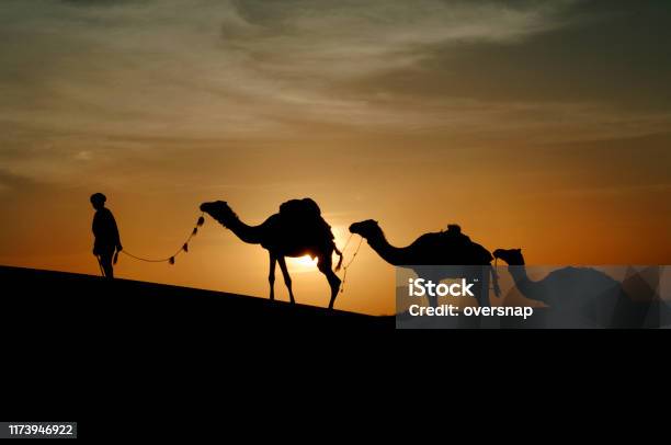 Timbuktu Stock Photo - Download Image Now - Epiphany - Religious Celebration, Camel, Convoy