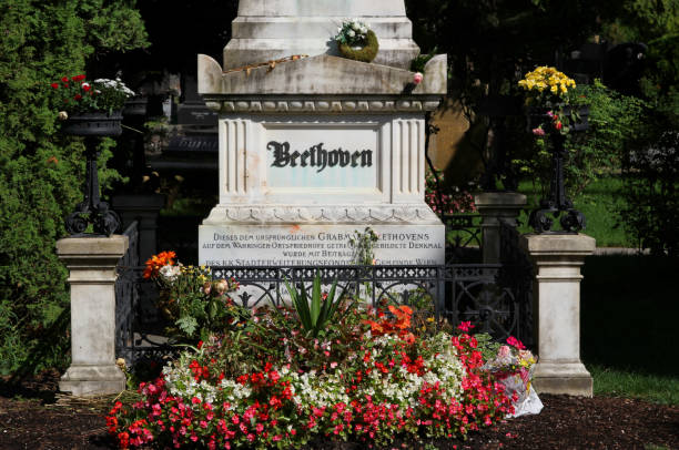 Tombstone of the musician Vienna, Austria - August 24, 2014:  Tombstone of the musician  Ludwig van Beethoven in the cemetery with big text ludwig van beethoven photos stock pictures, royalty-free photos & images