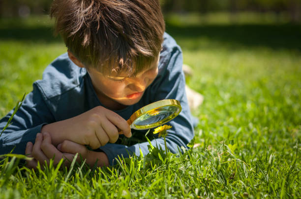 istock boy the Explorer of nature 1173951513