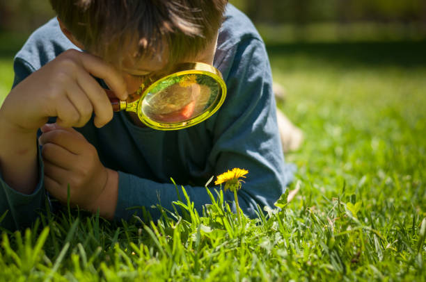 istock boy the Explorer of nature 1173951526