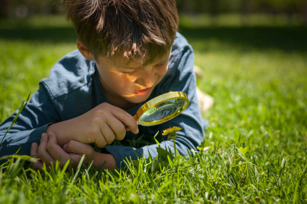 istock boy the Explorer of nature 1173951528