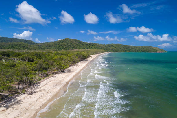 istock Beach, Daintree River, Cape Tribulation, Queensland, Australia 1173954830