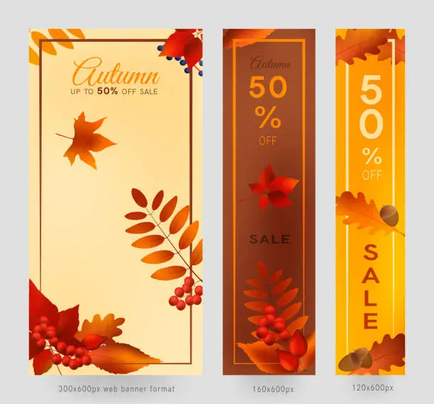 Vector illustration of Colorful autumn leaves and berries, sale banner set with frame, autumn forest webb banner templates, 300x600, 160x600 and 120x600px.