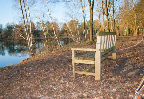 banc d'étang dans la forêt au lever de soleil avec la couleur bleue du ciel à l'arrière-plan - bench forest pond autumn photos et images de collection