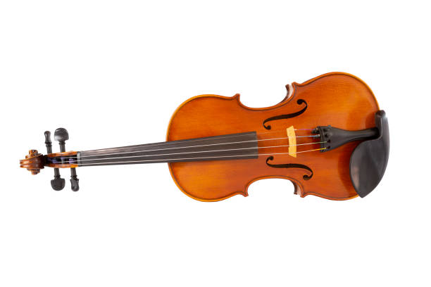 istock An isolated image of violin, string music instrument in orchestra. 1173960813