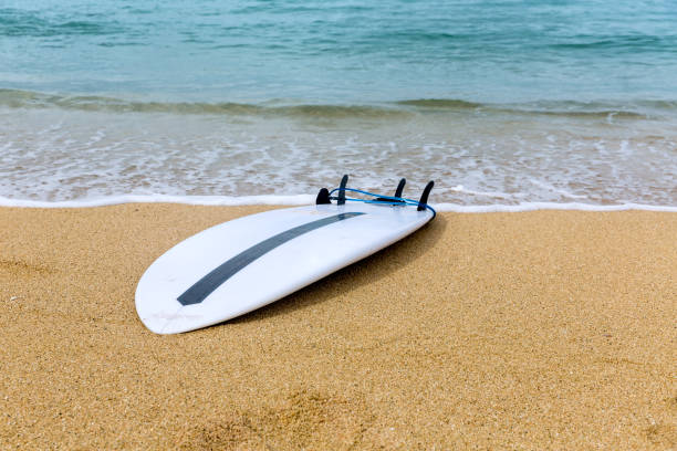 istock Surfboard lying on sand near the ocean 1173961904