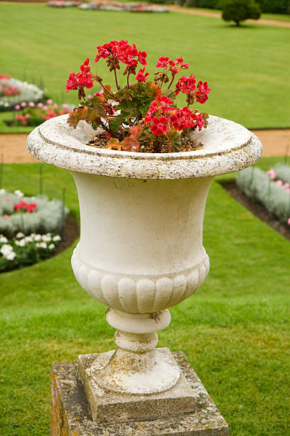 istock Flowers in the Park 117396349