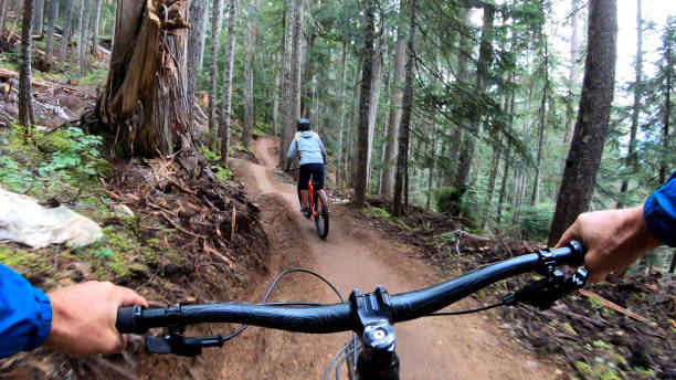 istock Mountain bikers descend through forest on muddy trail 1173966738