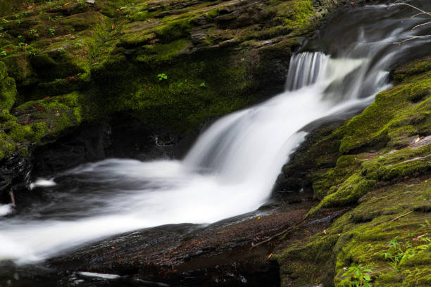 Water cascades at Bushkill Falls in Pocono Mountains