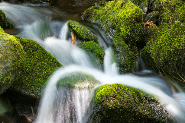 istock Waterfalls at Bushkill Falls in Pocono Mountains 1173966820