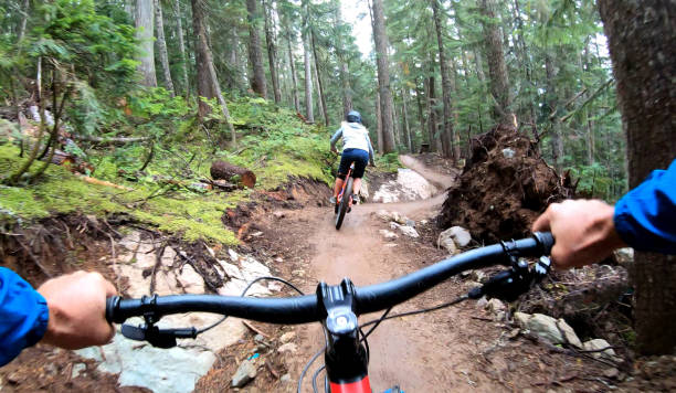 istock Mountain bikers descend through forest on muddy trail 1173966835