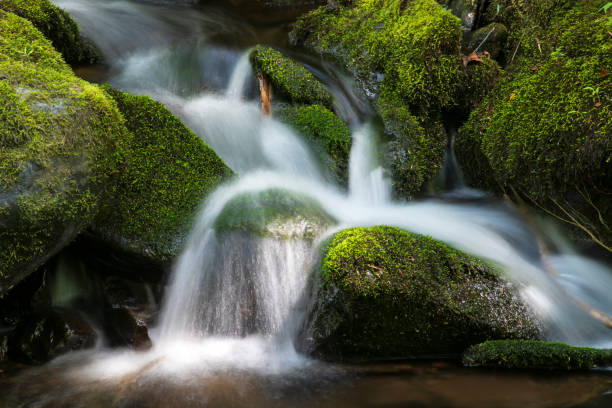 istock Waterfalls at Bushkill Falls in Pocono Mountains 1173966864