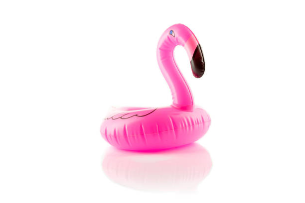 istock Rubber ring. Inflatable pink flamingo with tropical drink. Summe 1173969031