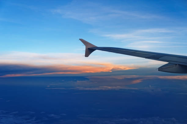 istock Airplane wing in against sky in sunset colors. 1173970454